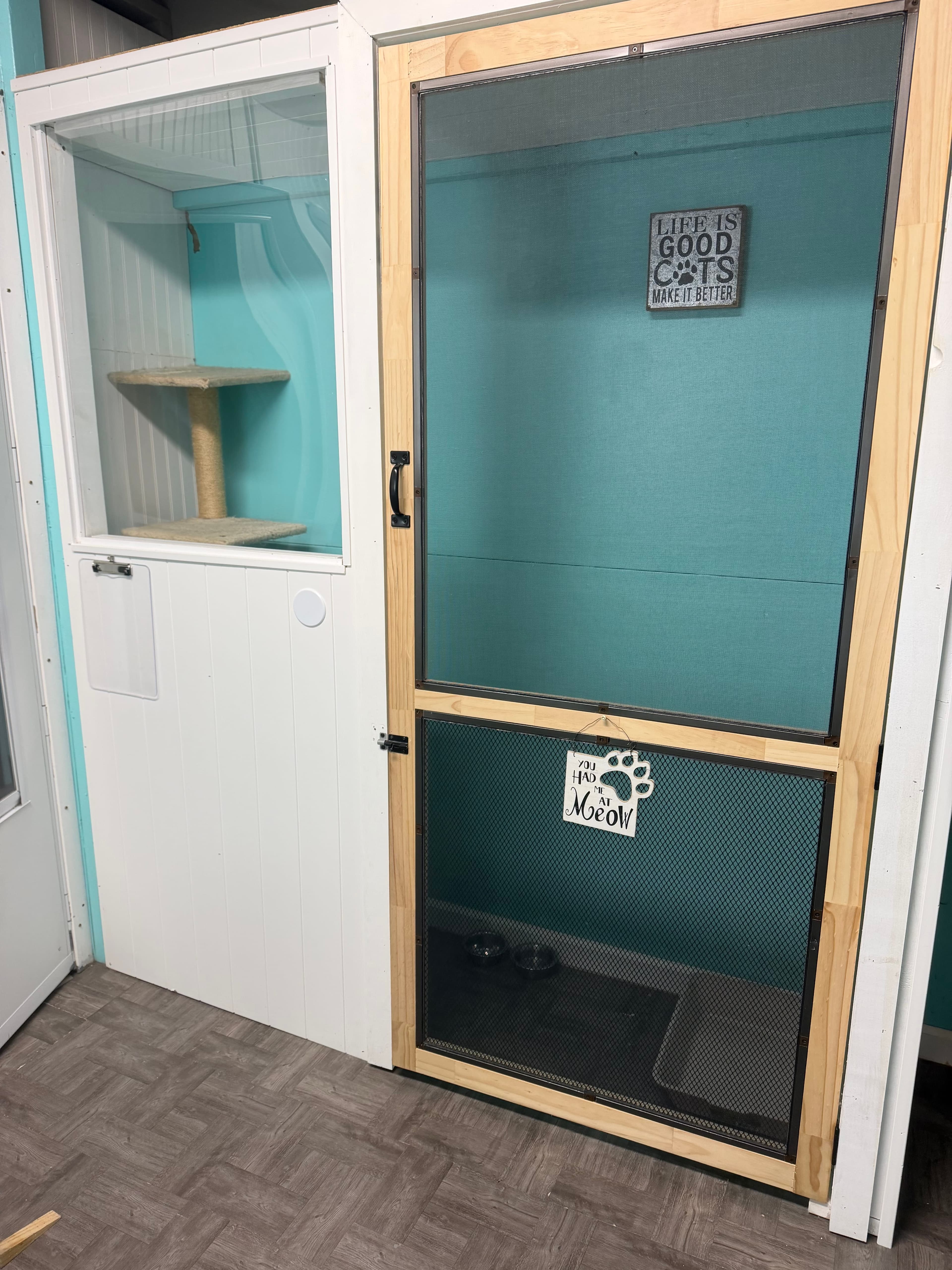 Cat room