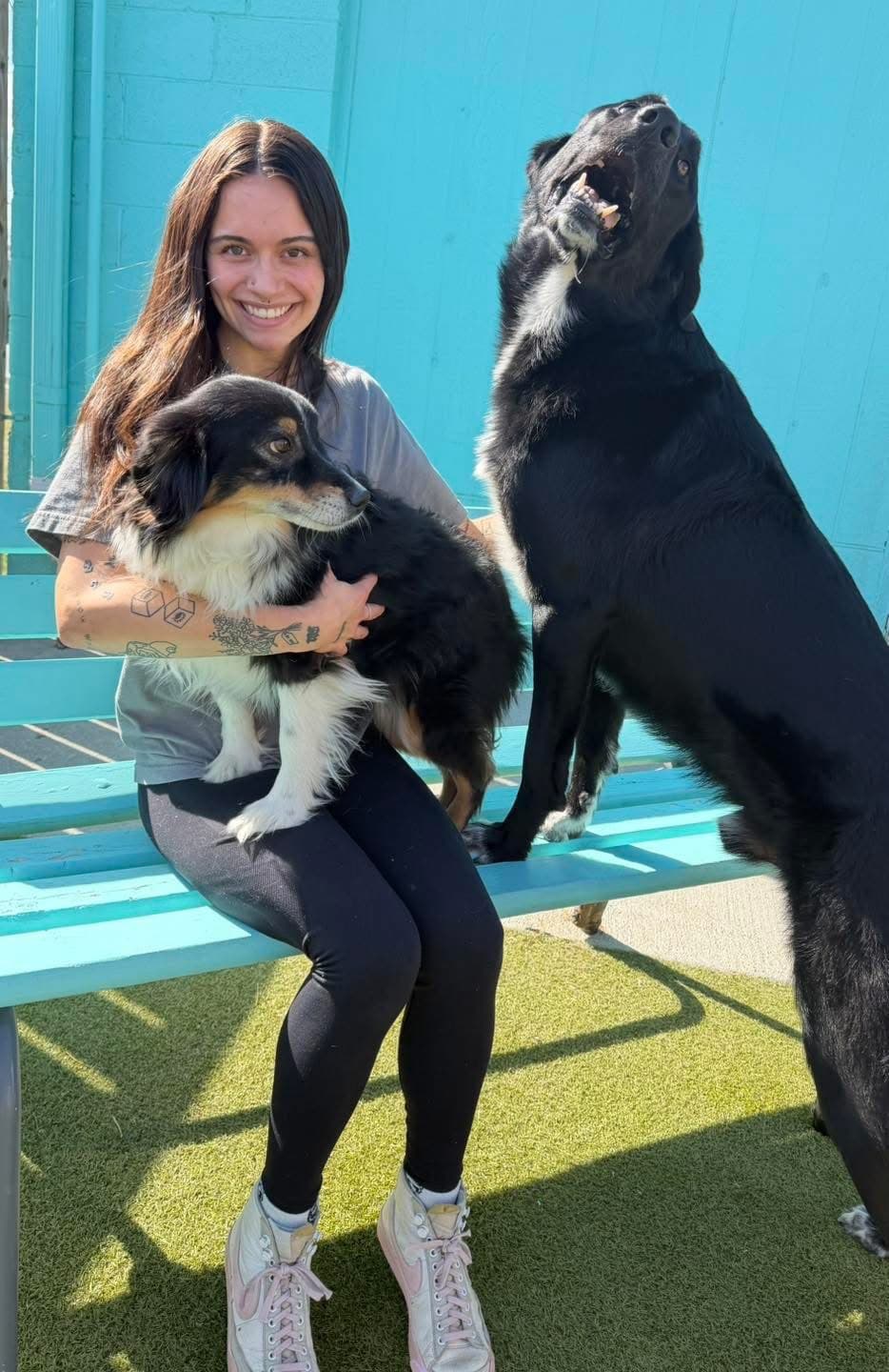 Photo of Ariel & Cedar
